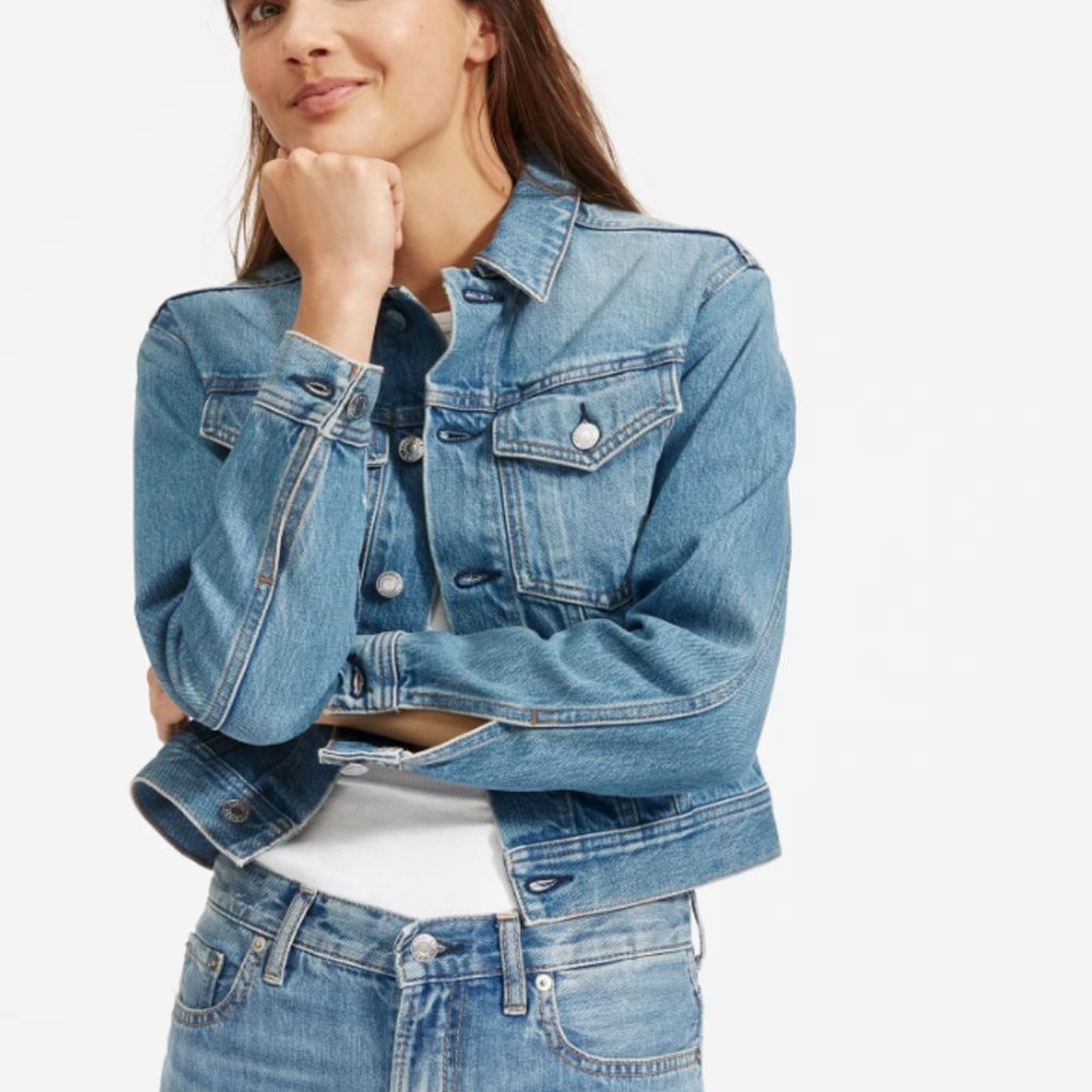 Everlane Cropped Denim Jacket